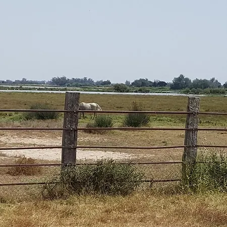 Hospederia Rural Buganvillas El Rocío