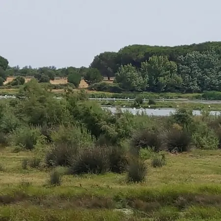 Hospederia Rural Buganvillas El Rocio