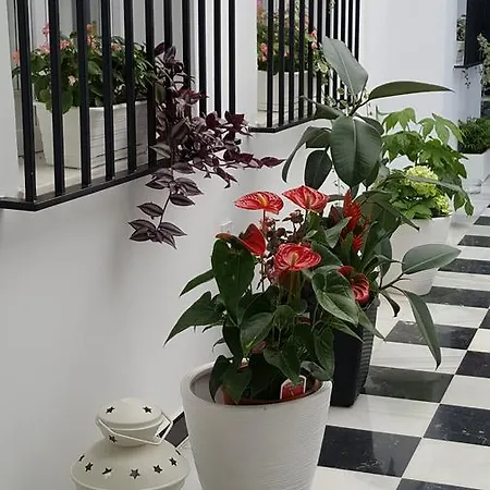 Hospederia Rural Buganvillas Guest house 2*