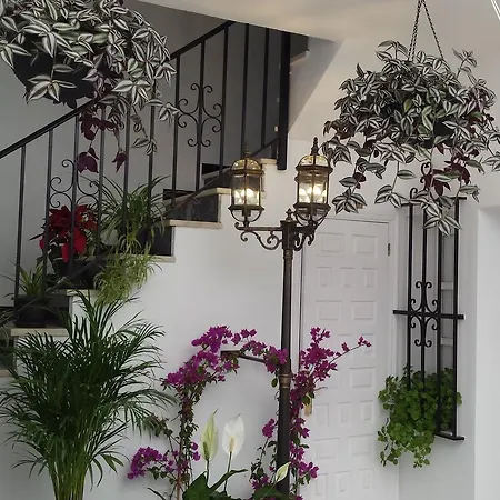 Casa de hóspedes Hospedería Rural Buganvillas 2*